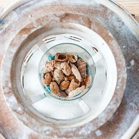 Sea Garden * Costa Teguise