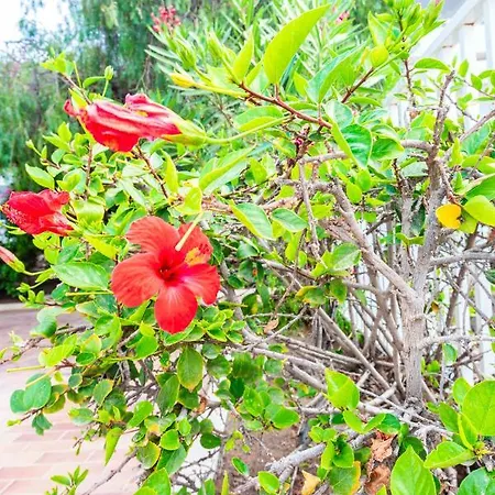 Sea Garden Apartment *