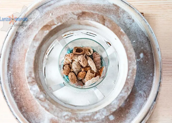 Sea Garden * Costa Teguise